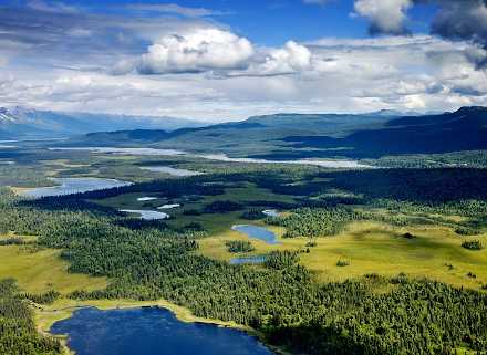 Denali National Park