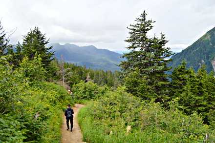 Mount Roberts hiking