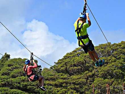 Zipliners travel from one tree or platform to another. Credit: Pixabay license
