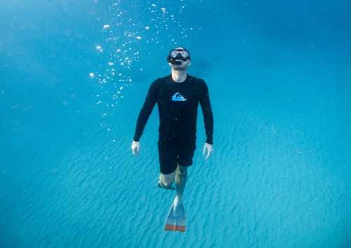 Anguilla snorkeling