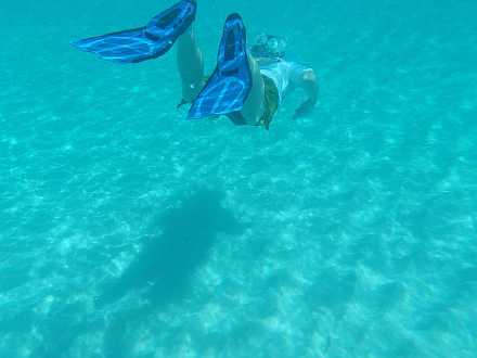 Anguilla snorkeling