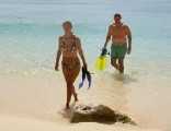 Anguilla snorkeling