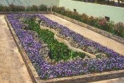 Bermuda Botanical Gardens flower bed