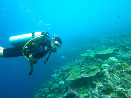 Bonaire scuba diving