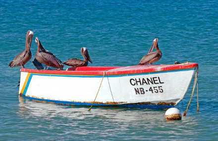 Bonaire excursions