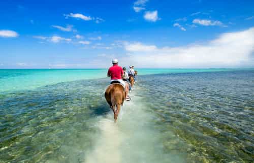 Grand Cayman horseback riding