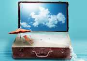 cruise luggage
