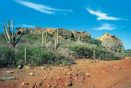 Curacao's landscape reveals an arid climate with low risk of rain. © Curaçao Tourist Board