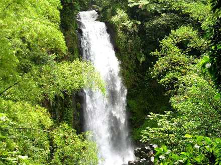 Trafalgar Falls is the most popular waterfall in Dominica. Credit: Creative Commons license