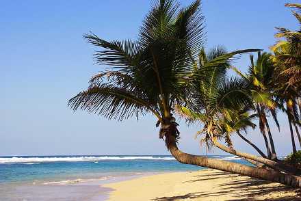 Punta Cana beach