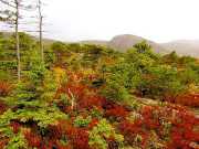Acadia National Park