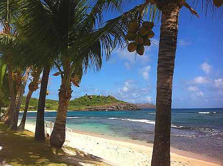 Shell Beach