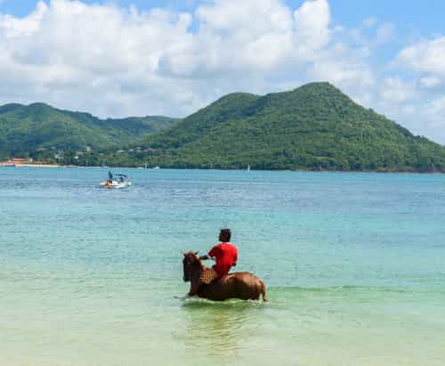 St. Lucia horseback
